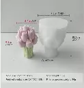 Captura de Pantalla 2025-07-01 a la(s) 16.49.44.webp