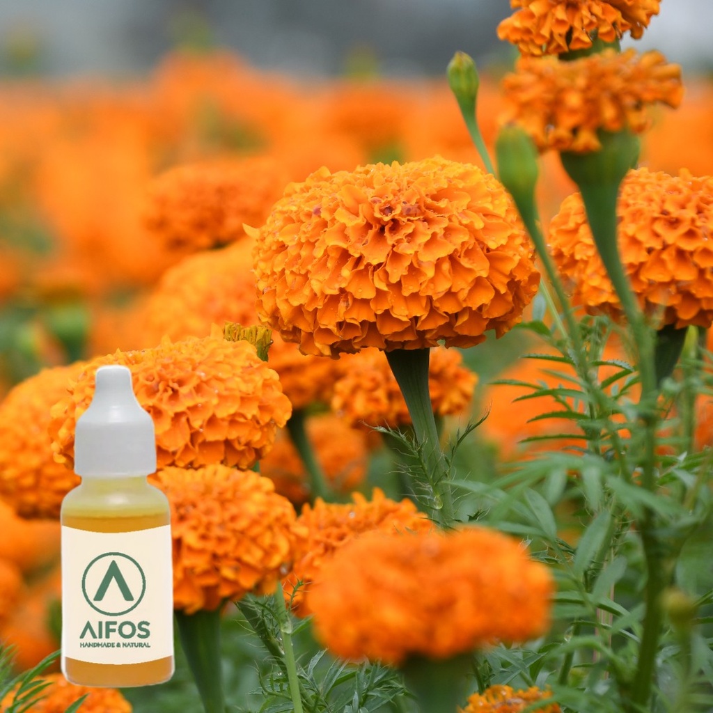 Fragancia Cempasuchil Vela 25ml